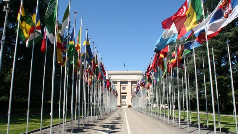 Foto de referencia: Canva