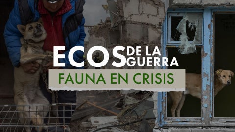FAUNA EN CRISIS