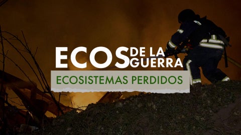 ECOSISTEMAS PERDIDOS