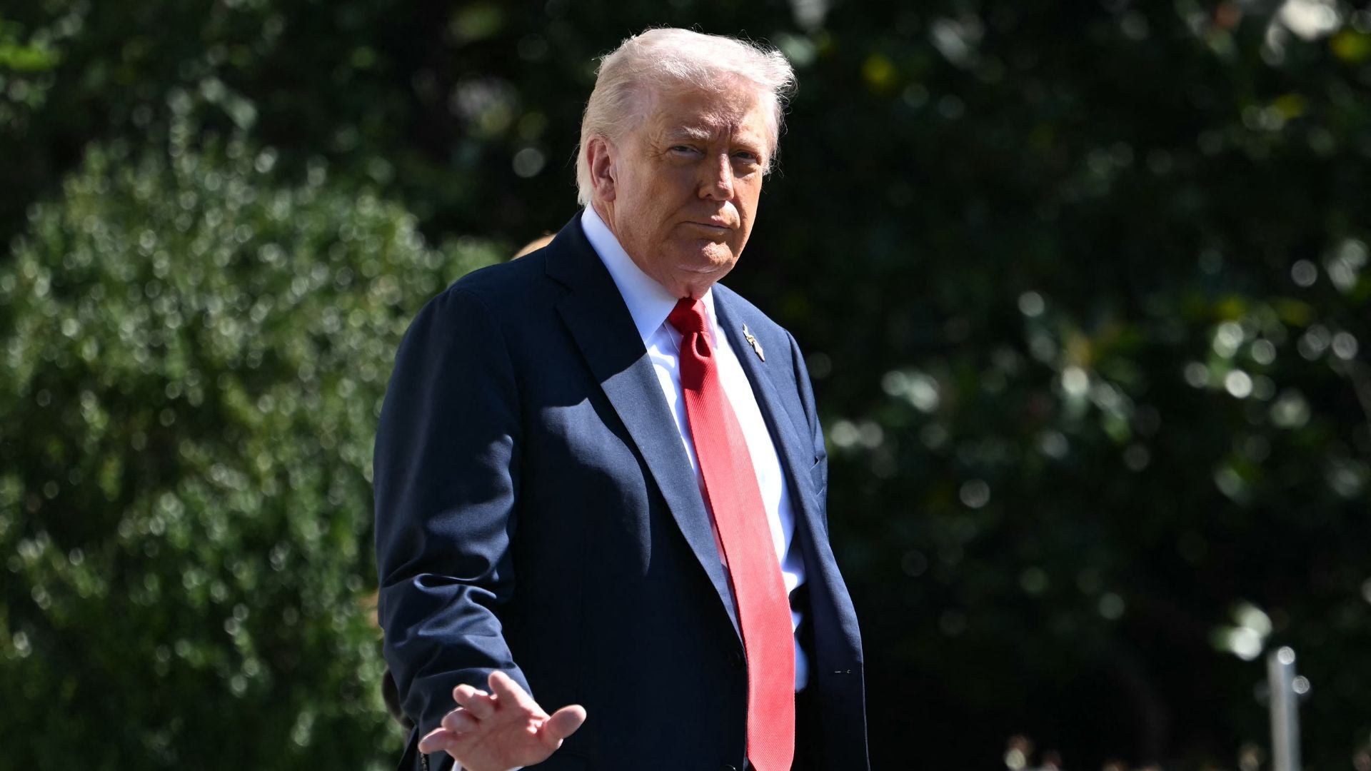 El presidente de Estados Unidos Donald Trump-Foto: AFP