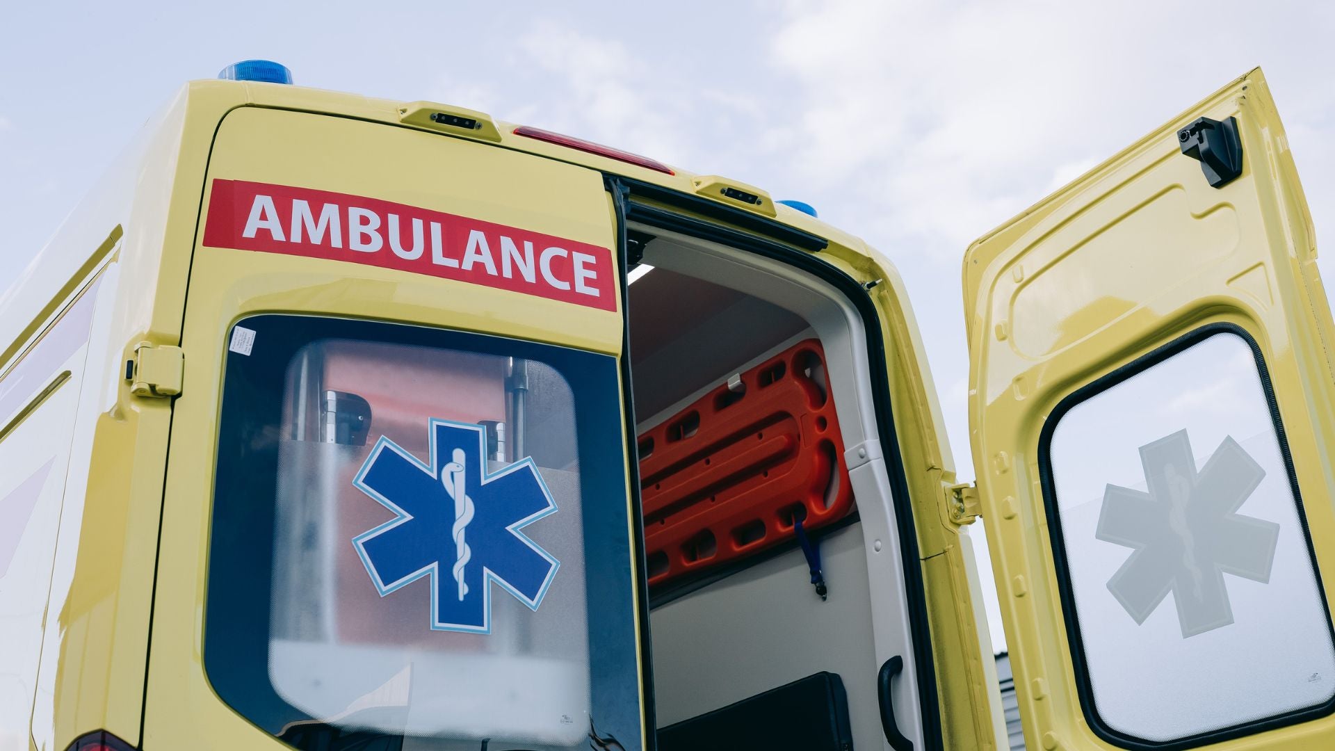 Foto de referencia (Canva)