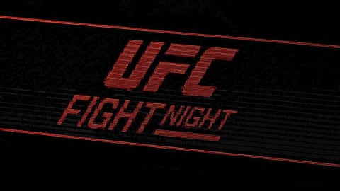 Logo de la UFC - AFP