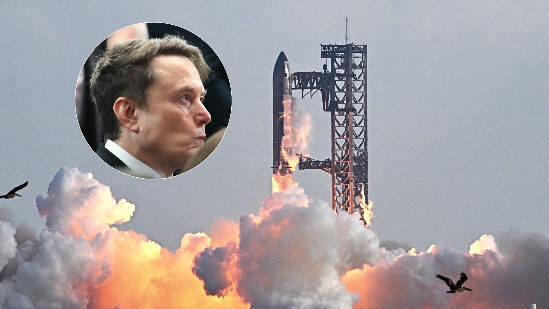 Starship/ Elon Musk - Fotos AFP