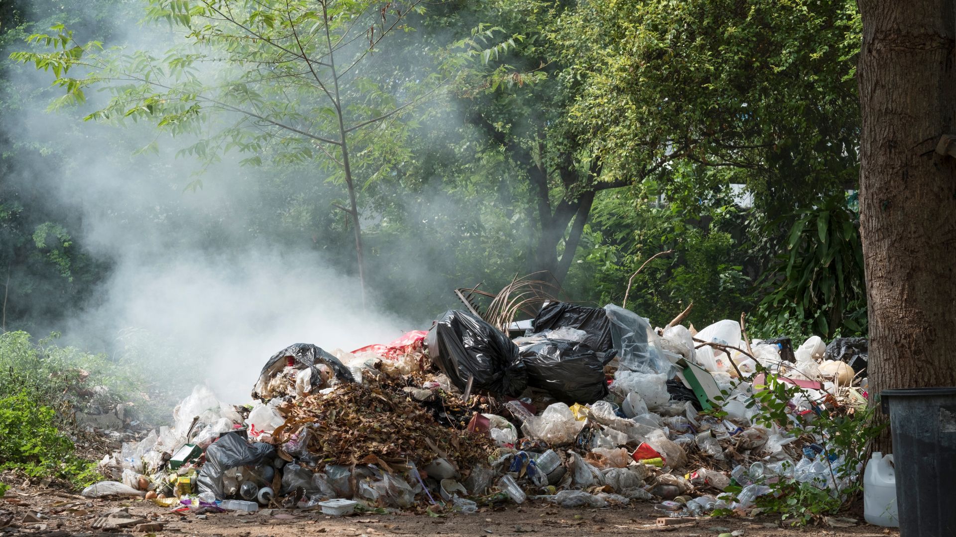 CONTAMINACIÓN - Foto Canva