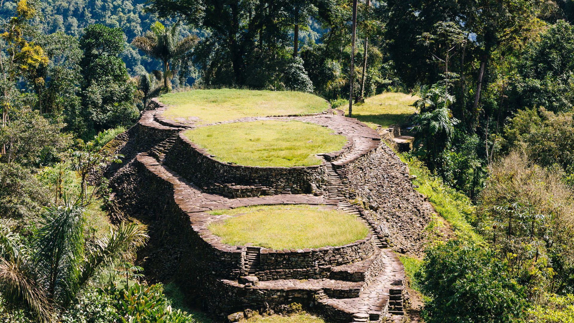 Foto de referencia (Canva)