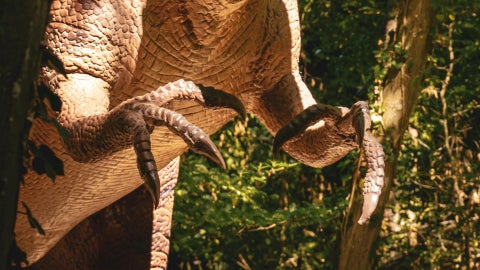 Dinosaurio - Foto de referencia Canva