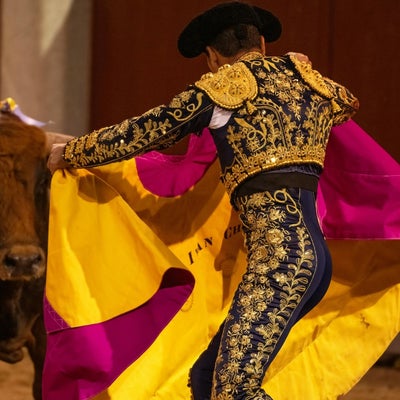 “Colombia ya no es la misma sociedad que veía héroes en los toreros