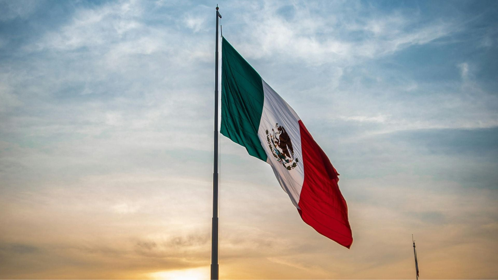 Foto de referencia (Canva)