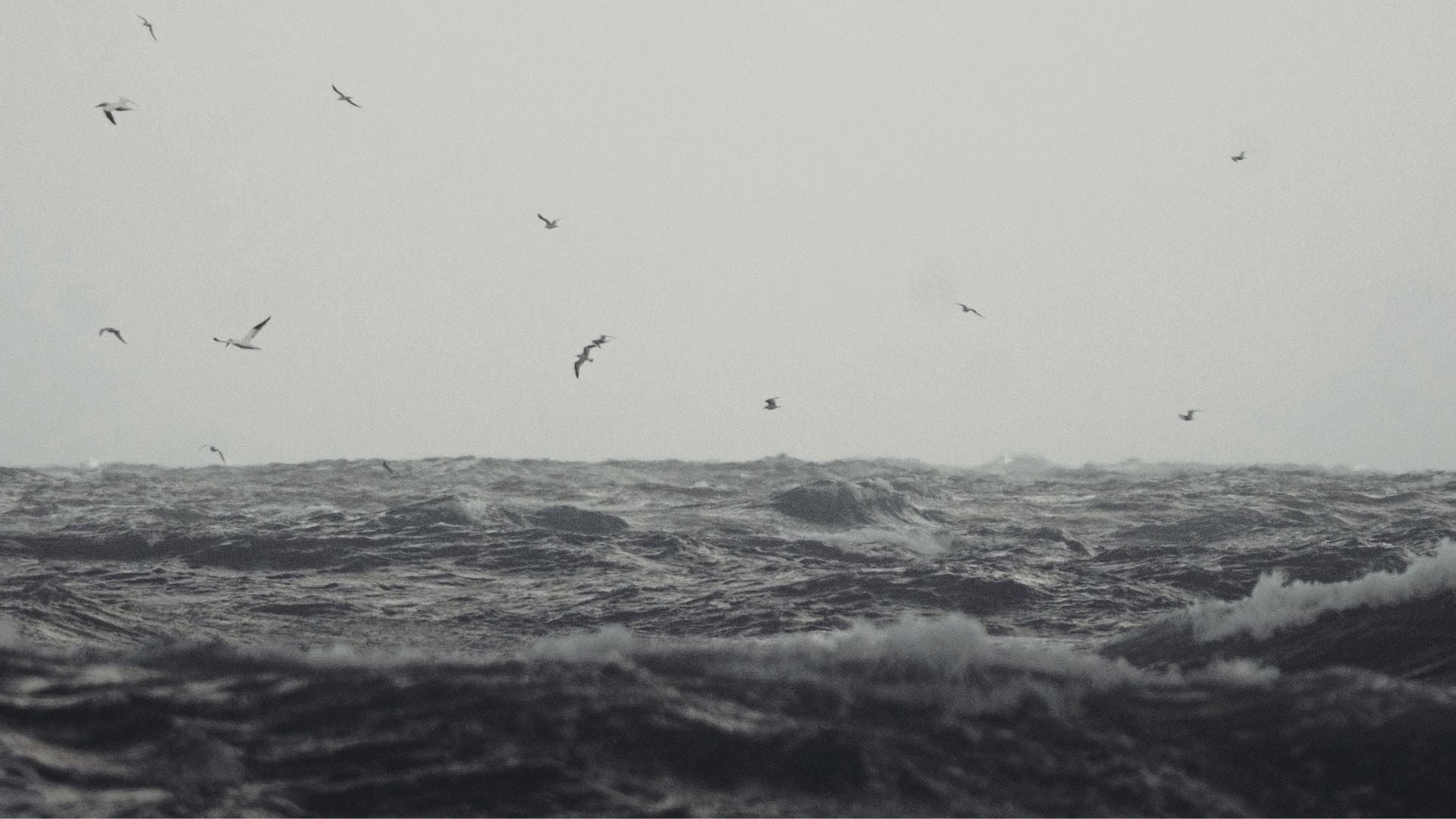 Olas a mar abierto - Foto de referencia Canva