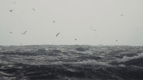 Olas a mar abierto - Foto de referencia Canva
