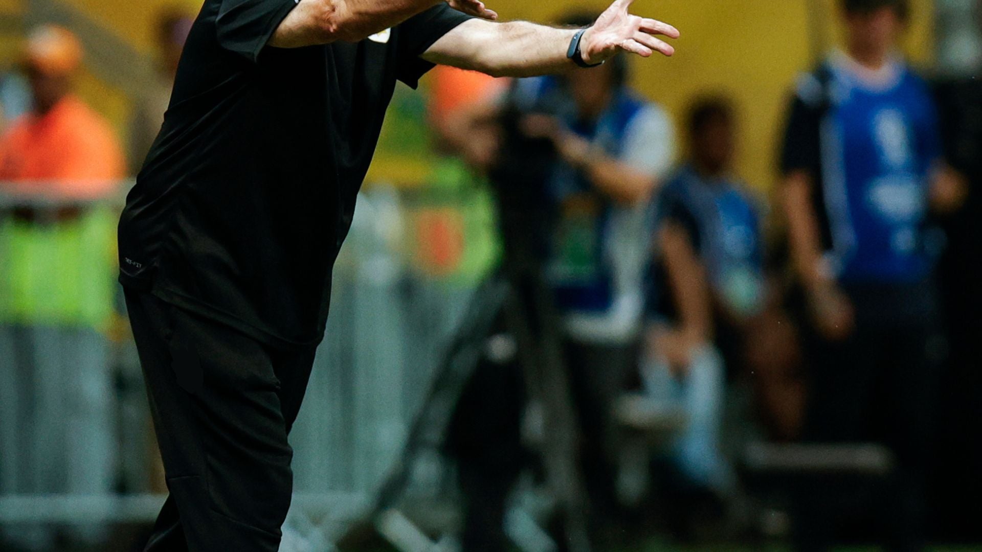 Entrenador de selección sudamericana - Foto EFE
