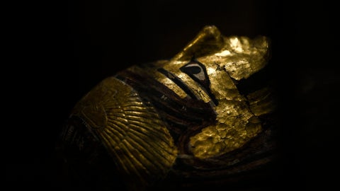 Momia egipcia llamada 'Petearmosnouphis' se exhibe en París - Foto: AFP