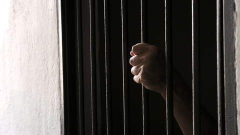 Foto de referencia (Canva)