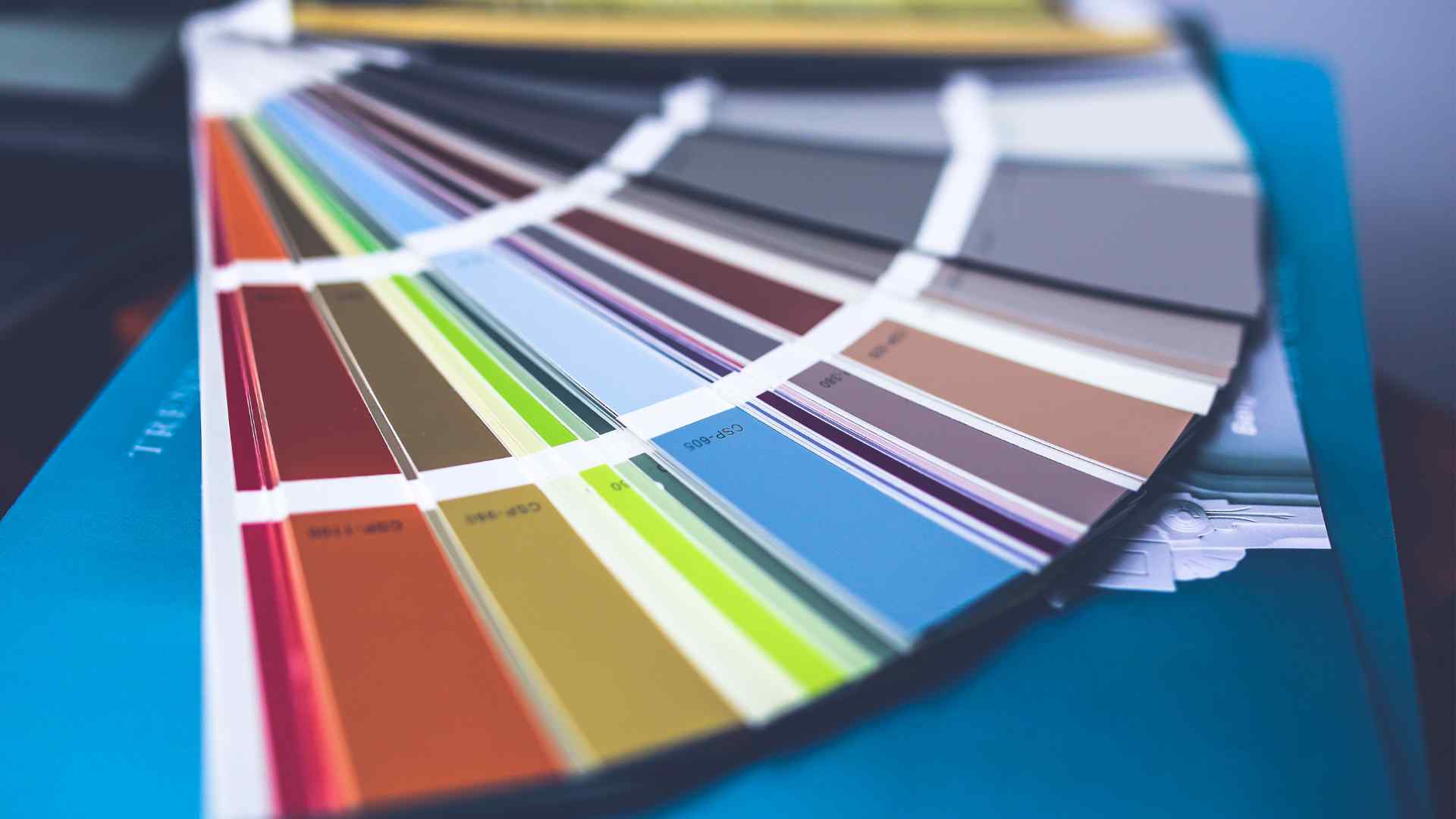 Paleta de colores - Canva