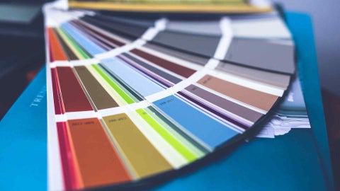 Paleta de colores - Canva