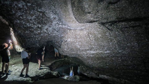 Telaraña Gigante - Foto AFP