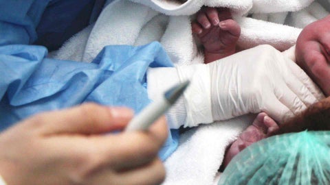 Recién nacidos - Canva