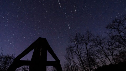 Dispositivos Starlink - Foto EFE