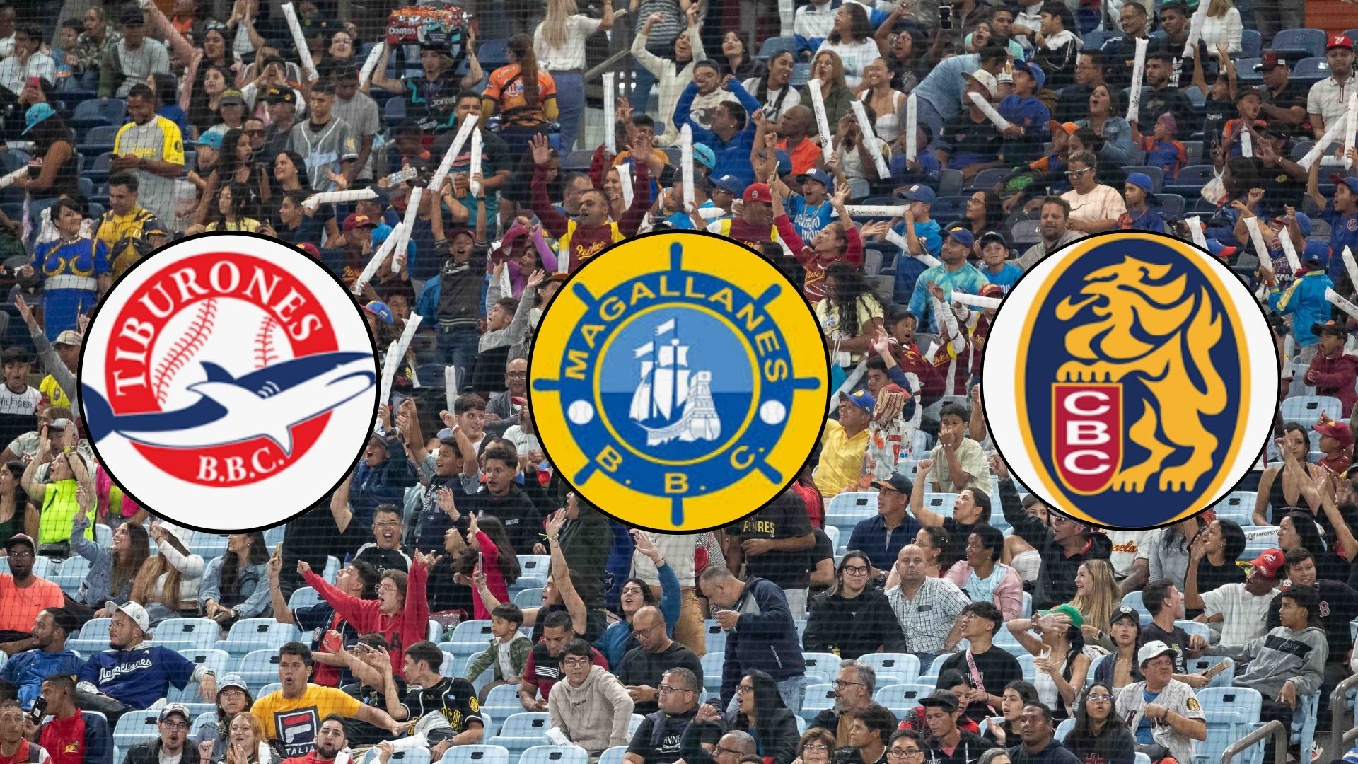 Fanáticos del béisbol venezolano / Logos de equipos de la LVBP - Fotos: EFE / X