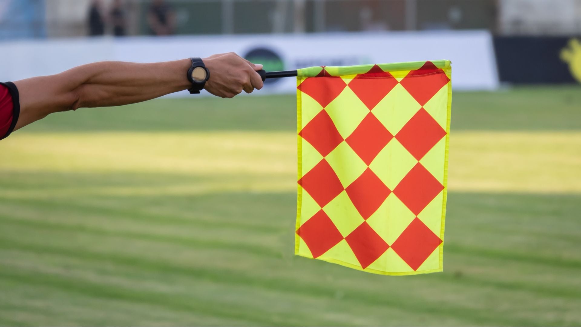 Fuera de lugar - Foto de referencia Canva