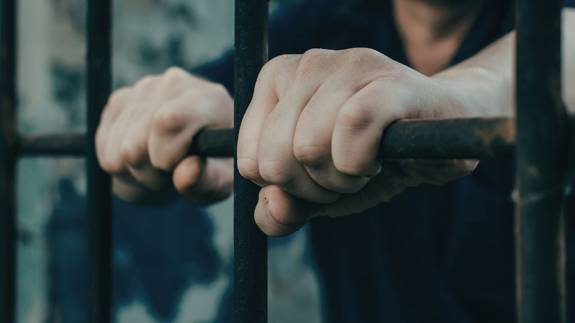 Foto de referencia (Canva)