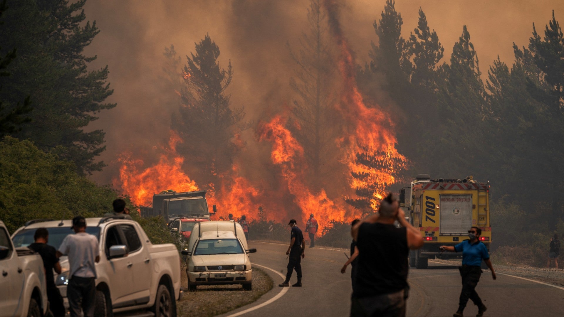 Incendios forestales en la Patagonia argentina | Foto: AFP