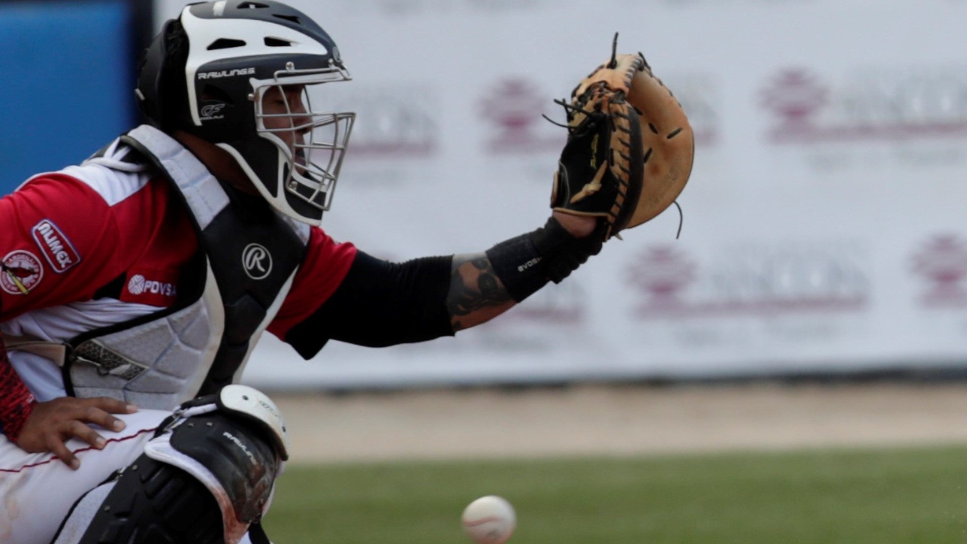 Cácher de Cardenales de Lara, equipo de la LVBP - Foto de referencia: EFE