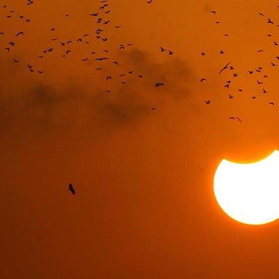Estas son las zonas de Sudamérica en donde será visible este martes el ...