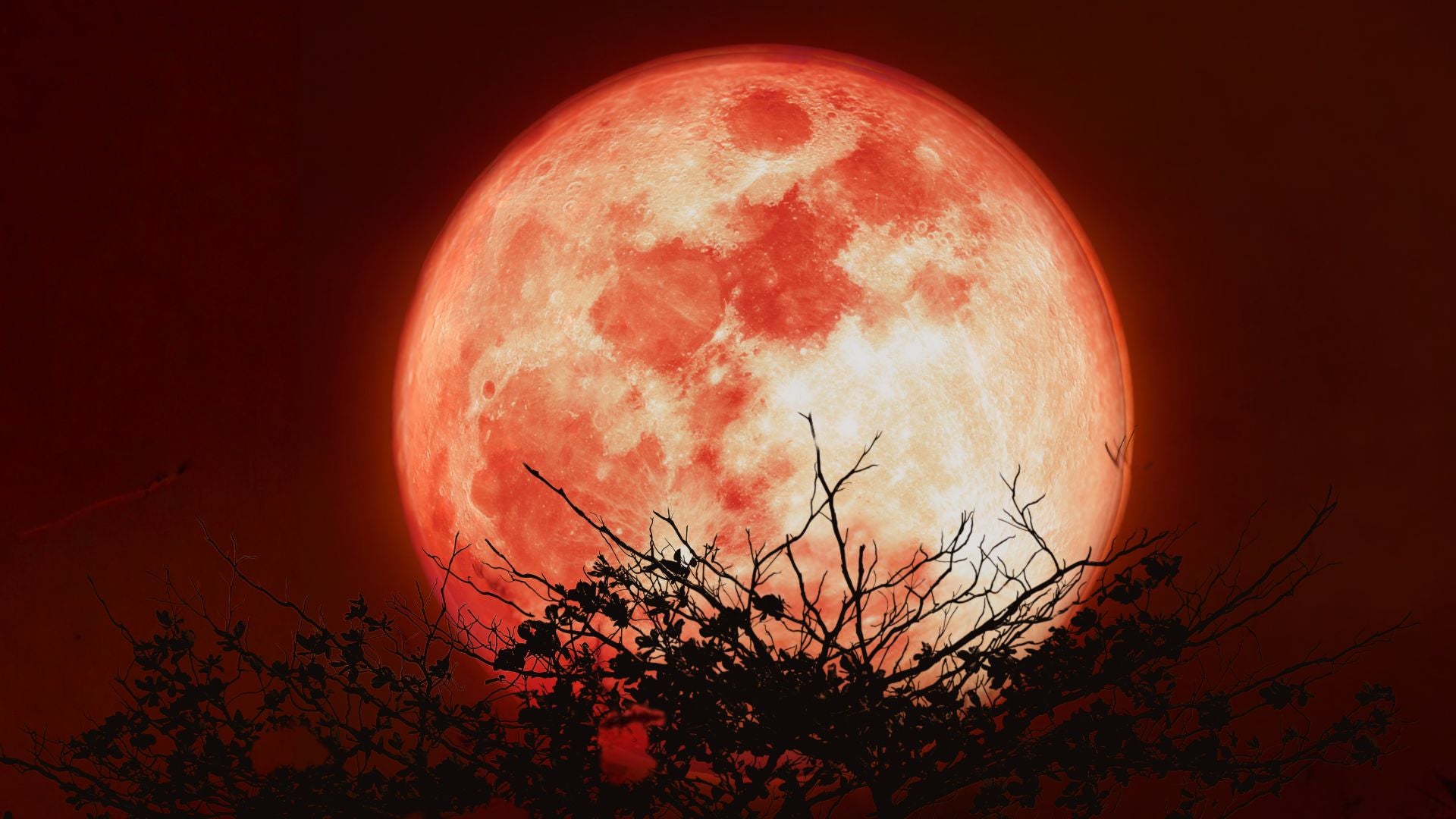 Eclipse de Luna total | Foto Canva