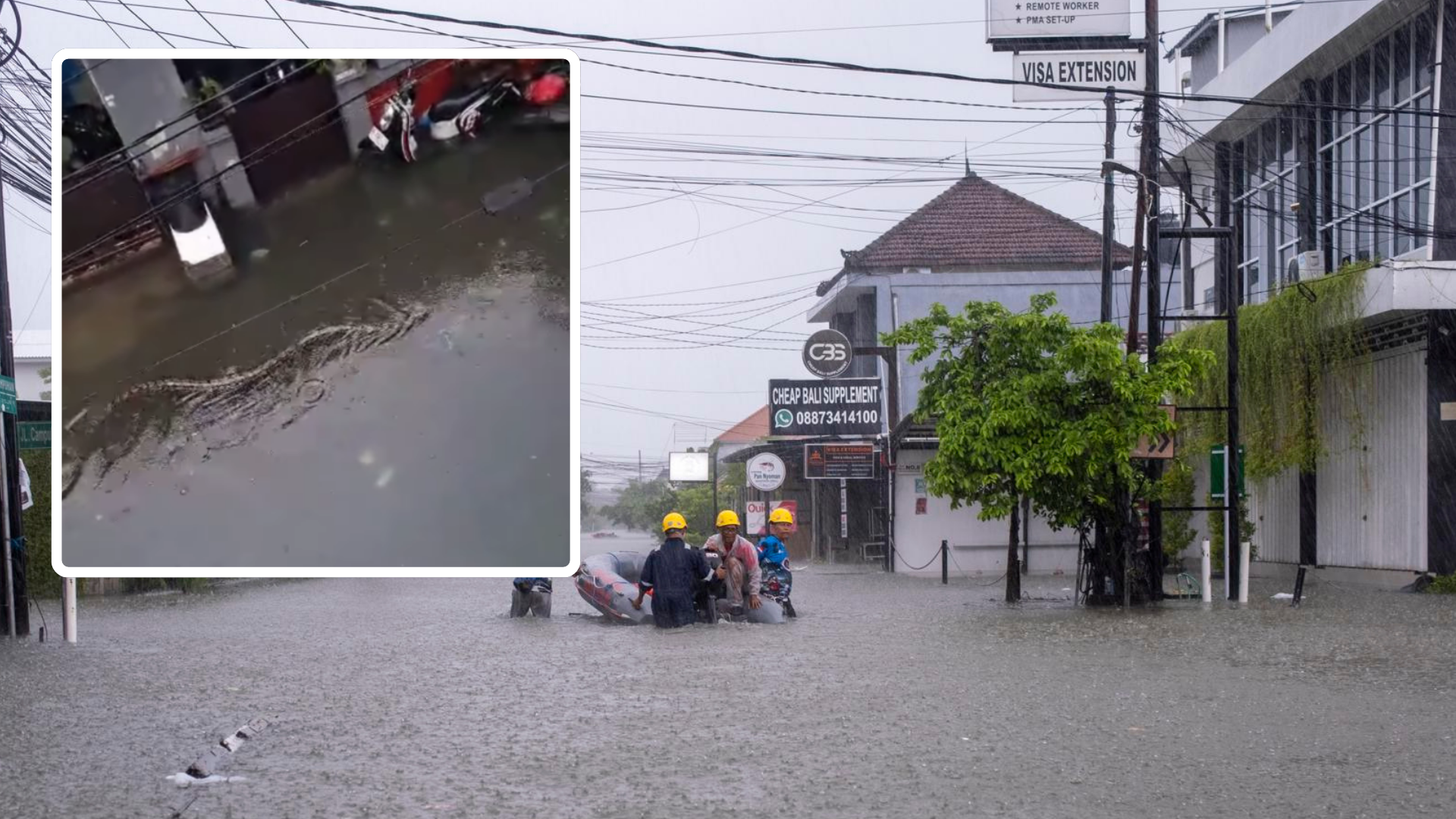 Serpiente Pitón nadando en calles inundadas de Indonesia / FOTO: EFE - captura de video