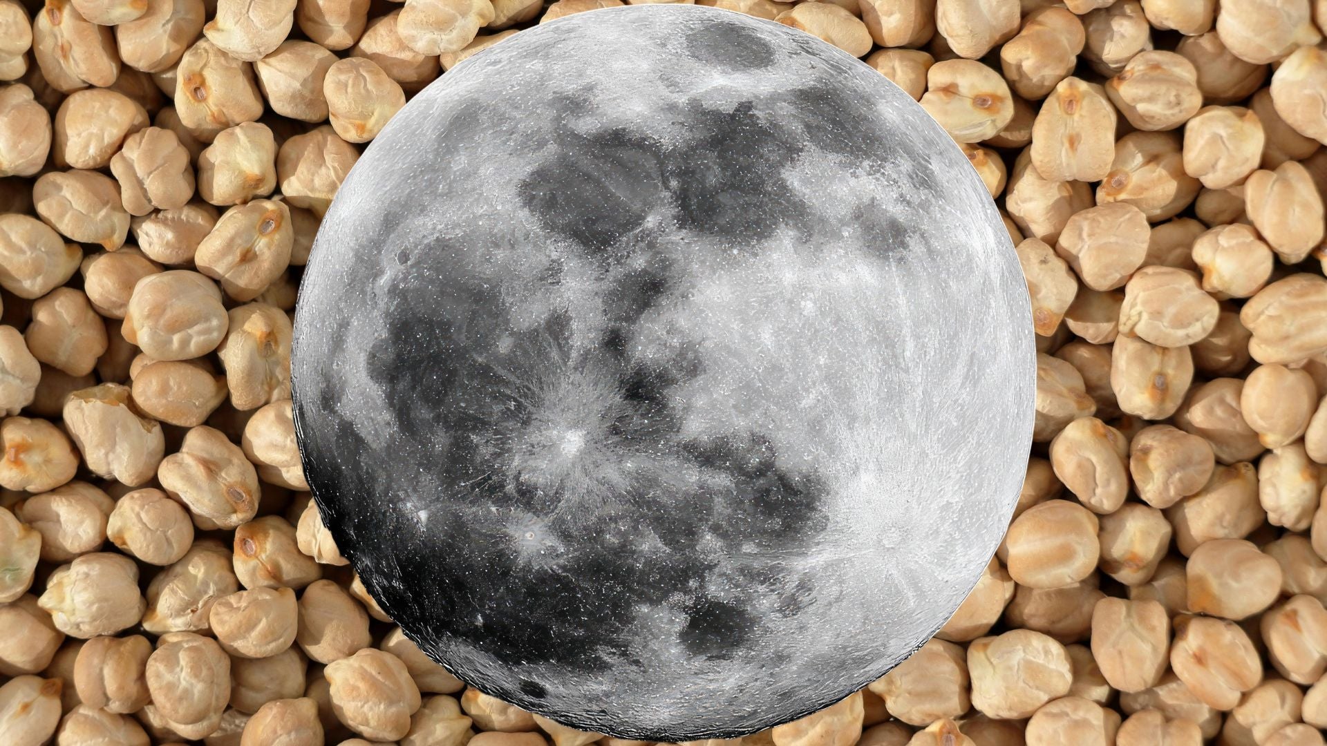 Luna/ Garbanzos - Fotos Canva de referencia