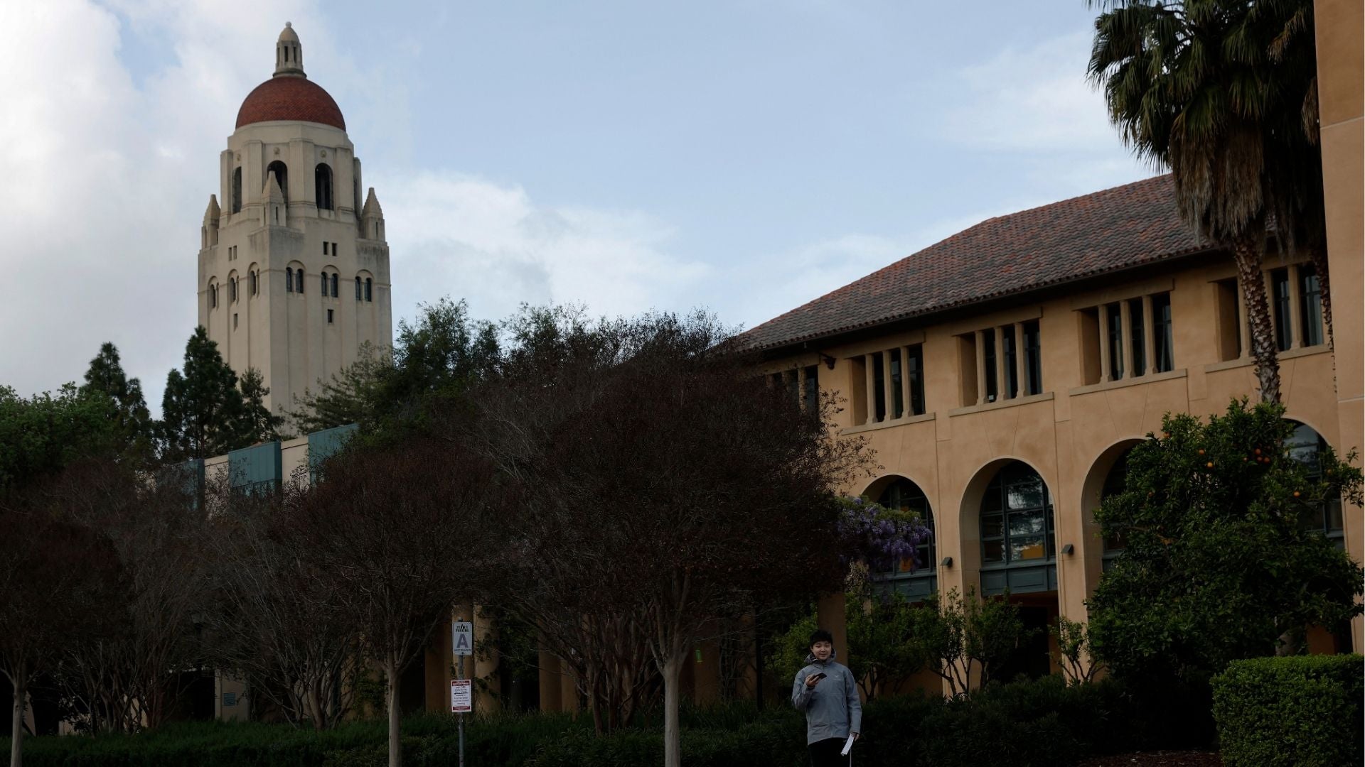 Torre Hoover en el campus de la Universidad de Stanford - Foto: AFP