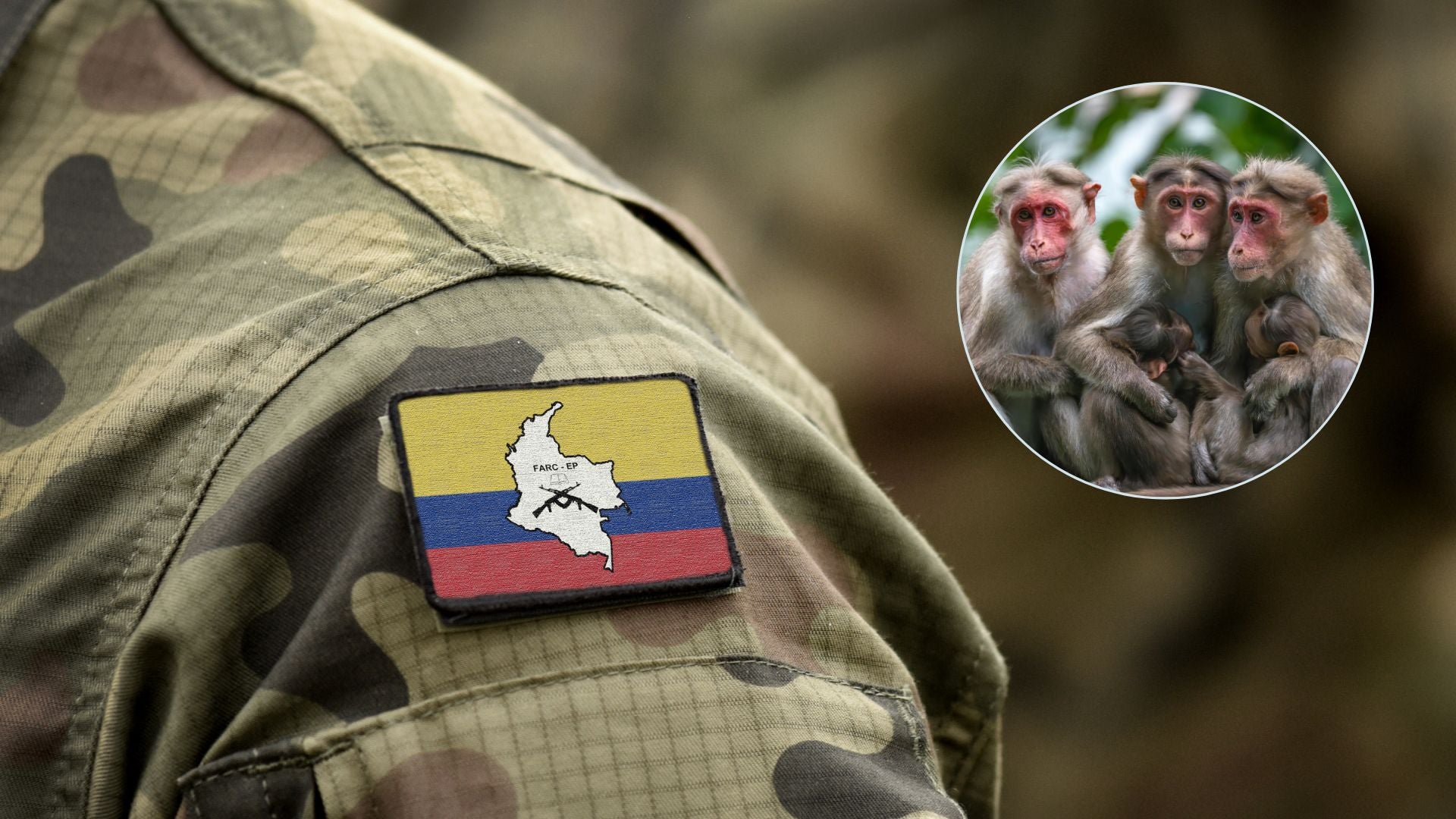 Grupos armado | Foto Canva