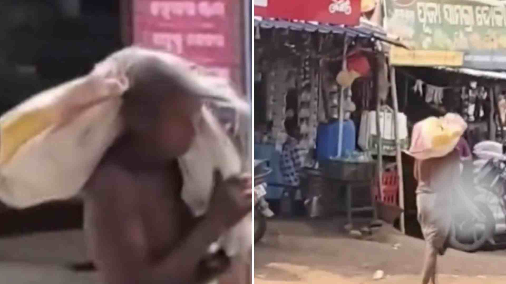 Un hombre desenterró a su hermana fallecida y trasladó su cadáver a un banco - Captura de video