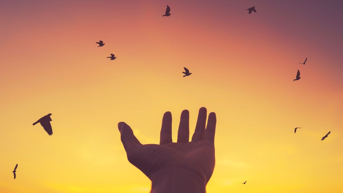 Foto de referencia: Canva