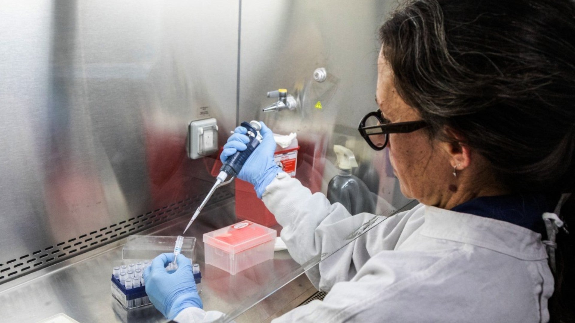 Científico del Instituto Malbrán manipulando contenedores utilizados para diagnosticar el hantavirus de los Andes - Foto: AFP