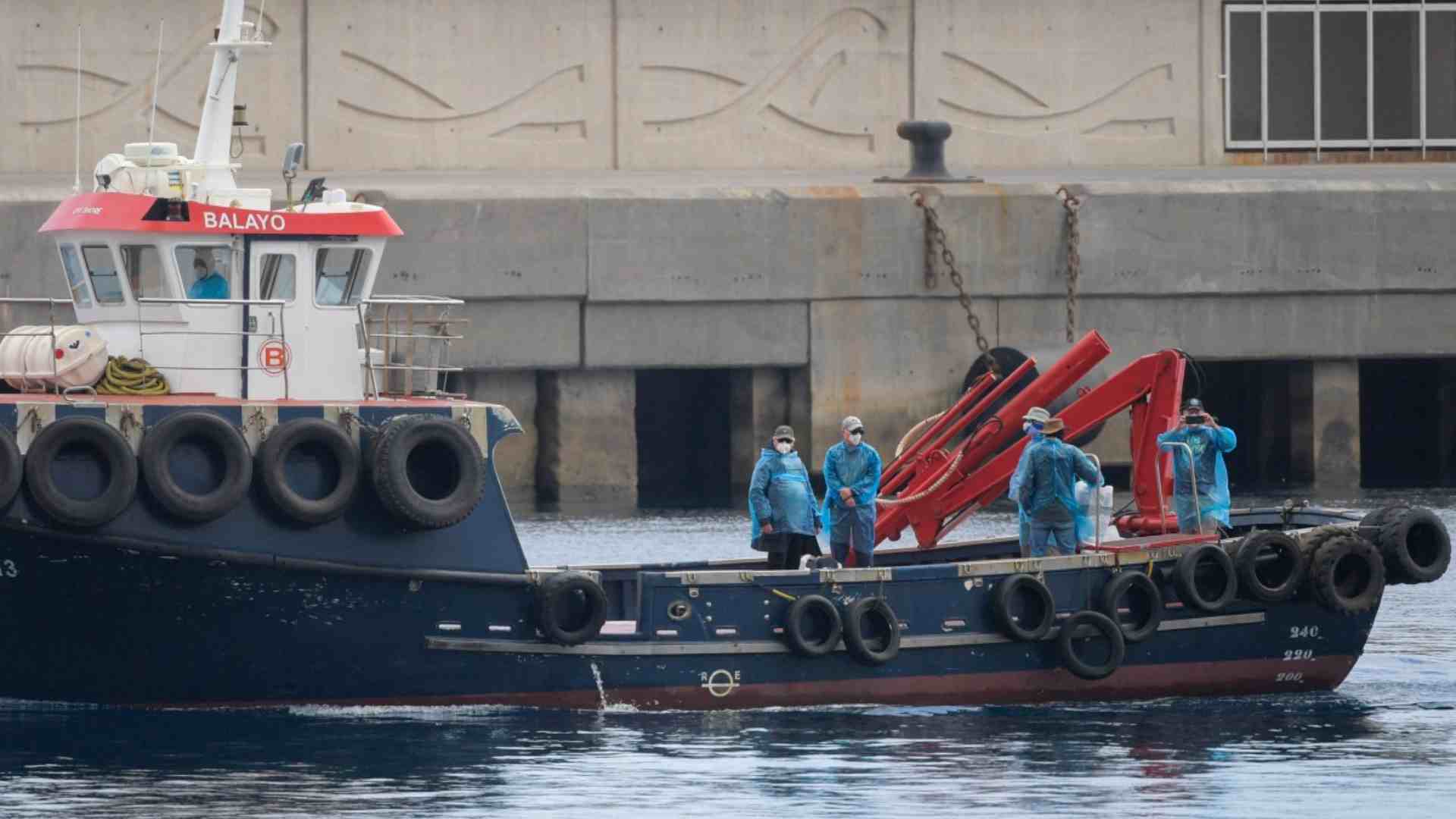 Evacuación de pasajeros de crucero afectado por hantavirus -AFP