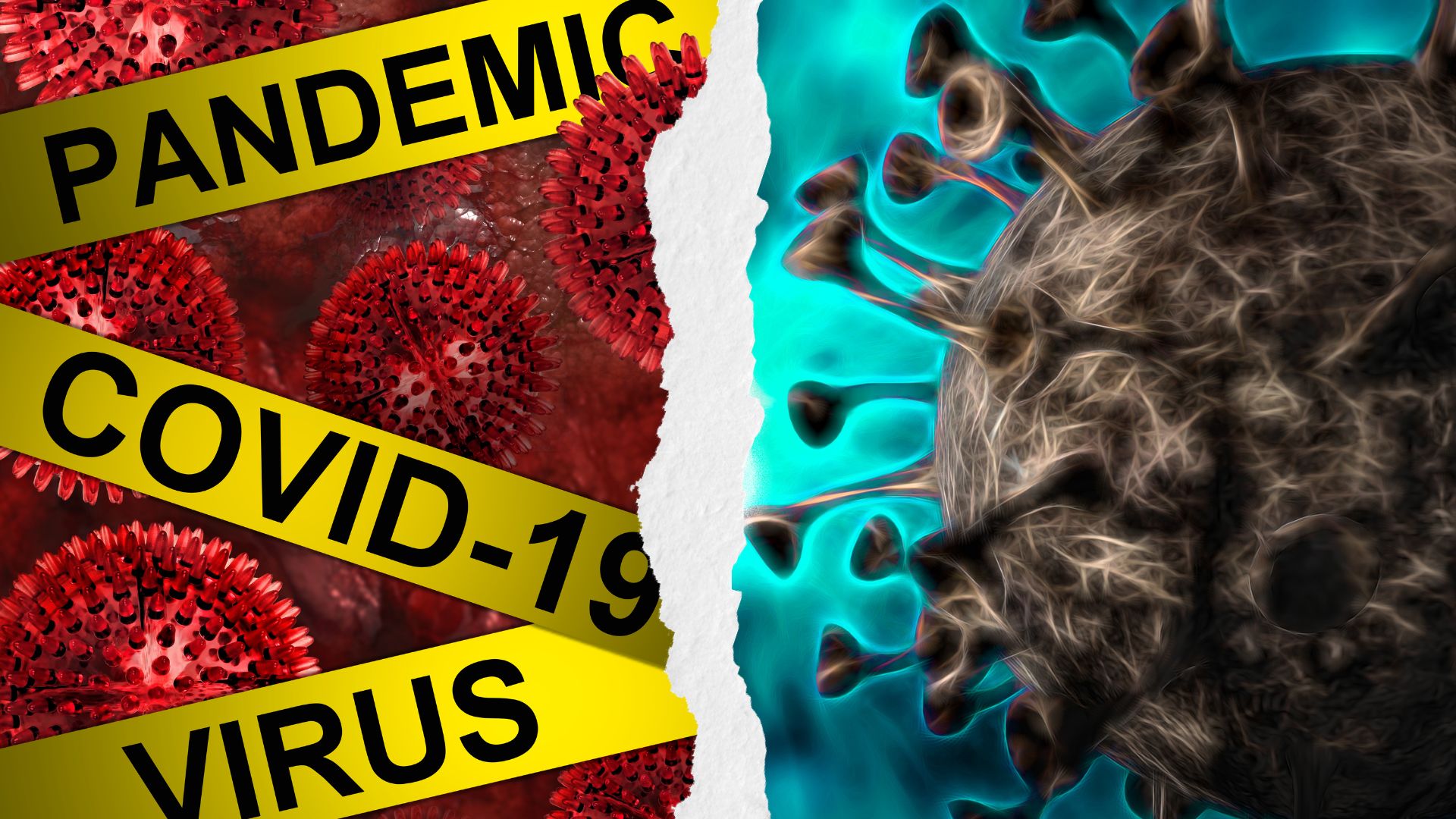 Virus | Foto Canva