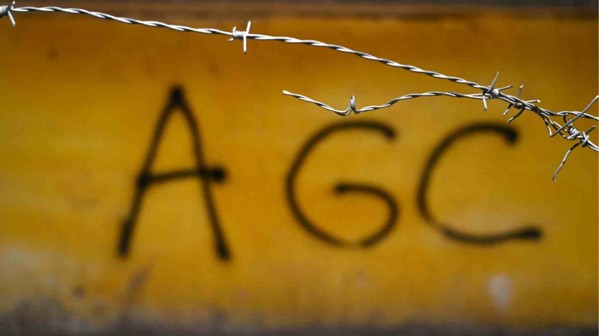 Clan del Golfo - AFP