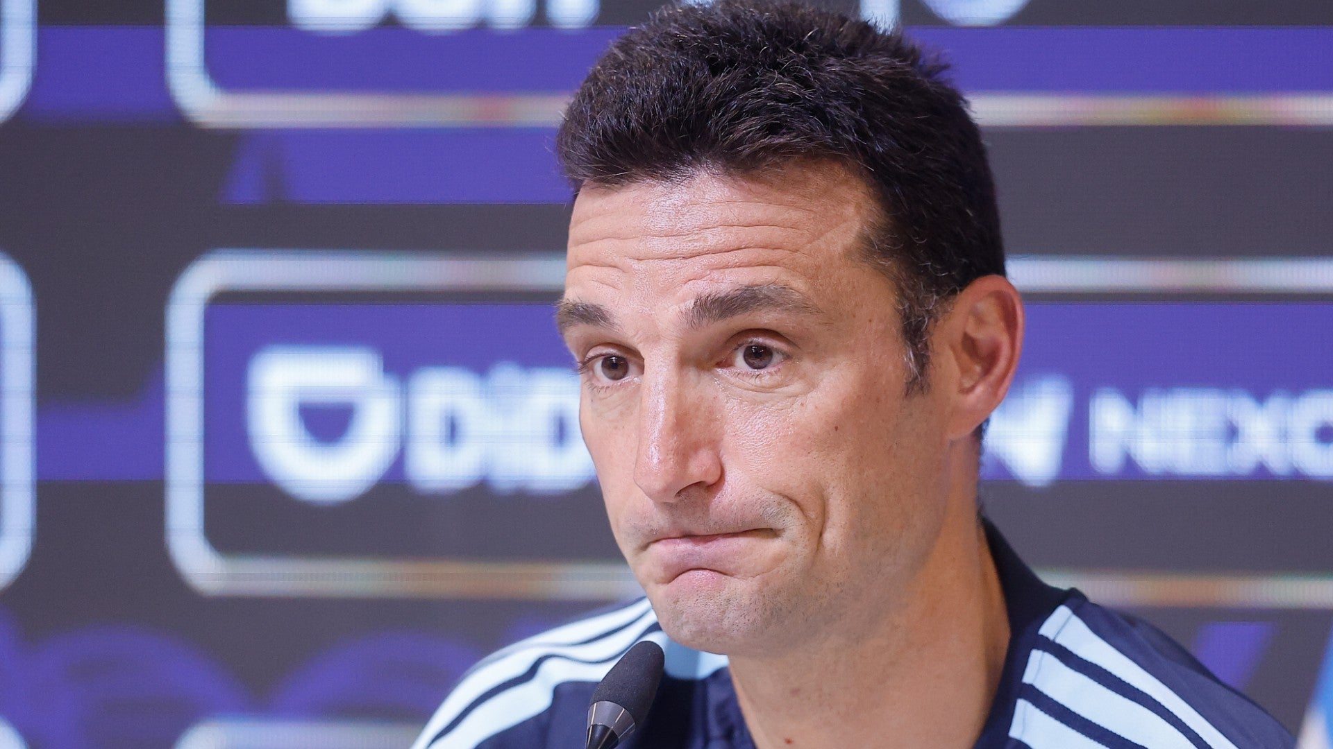 Lionel Scaloni, entrenador de fútbol - Foto: EFE