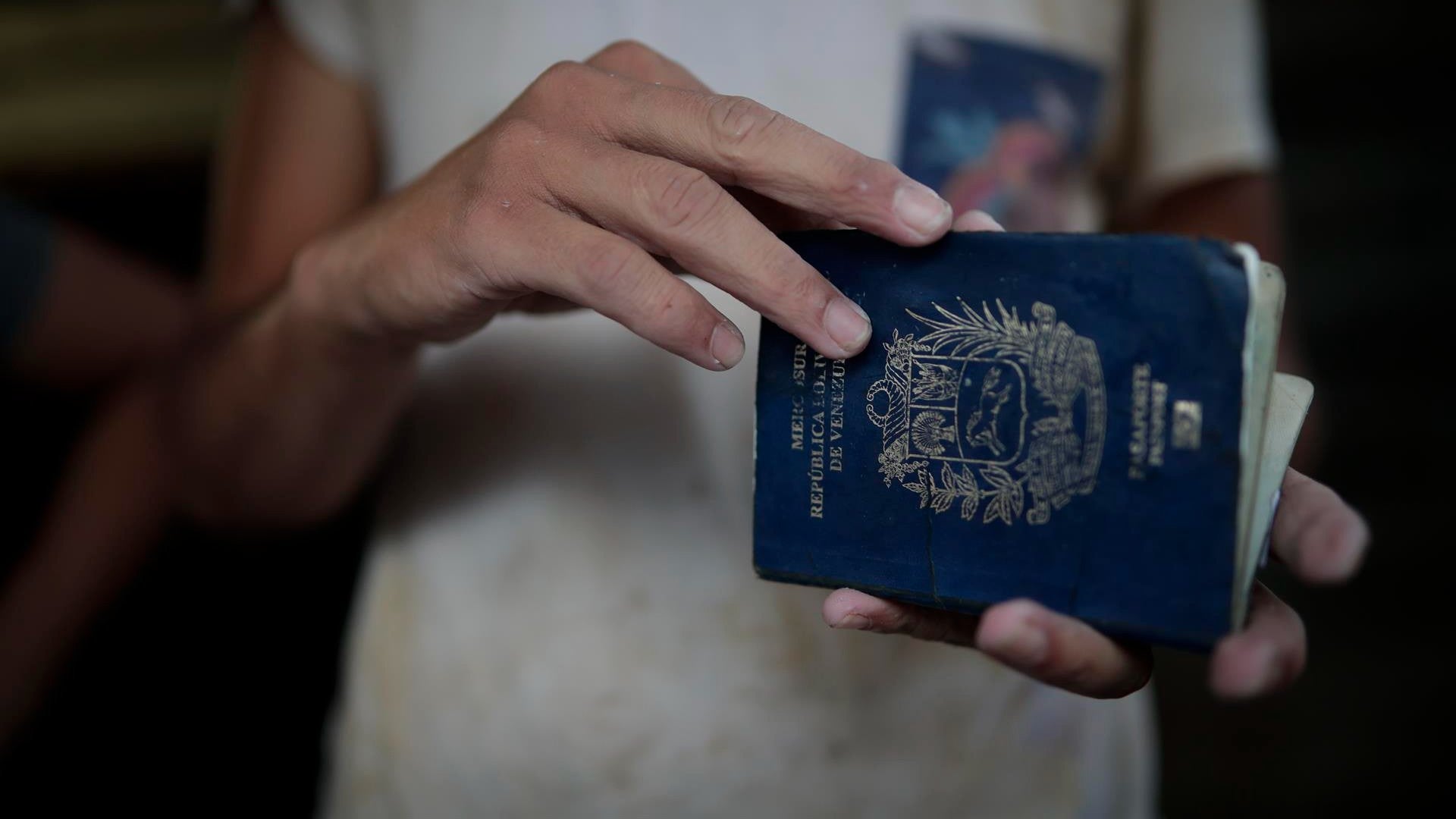 Pasaporte venezolano - Foto: EFE