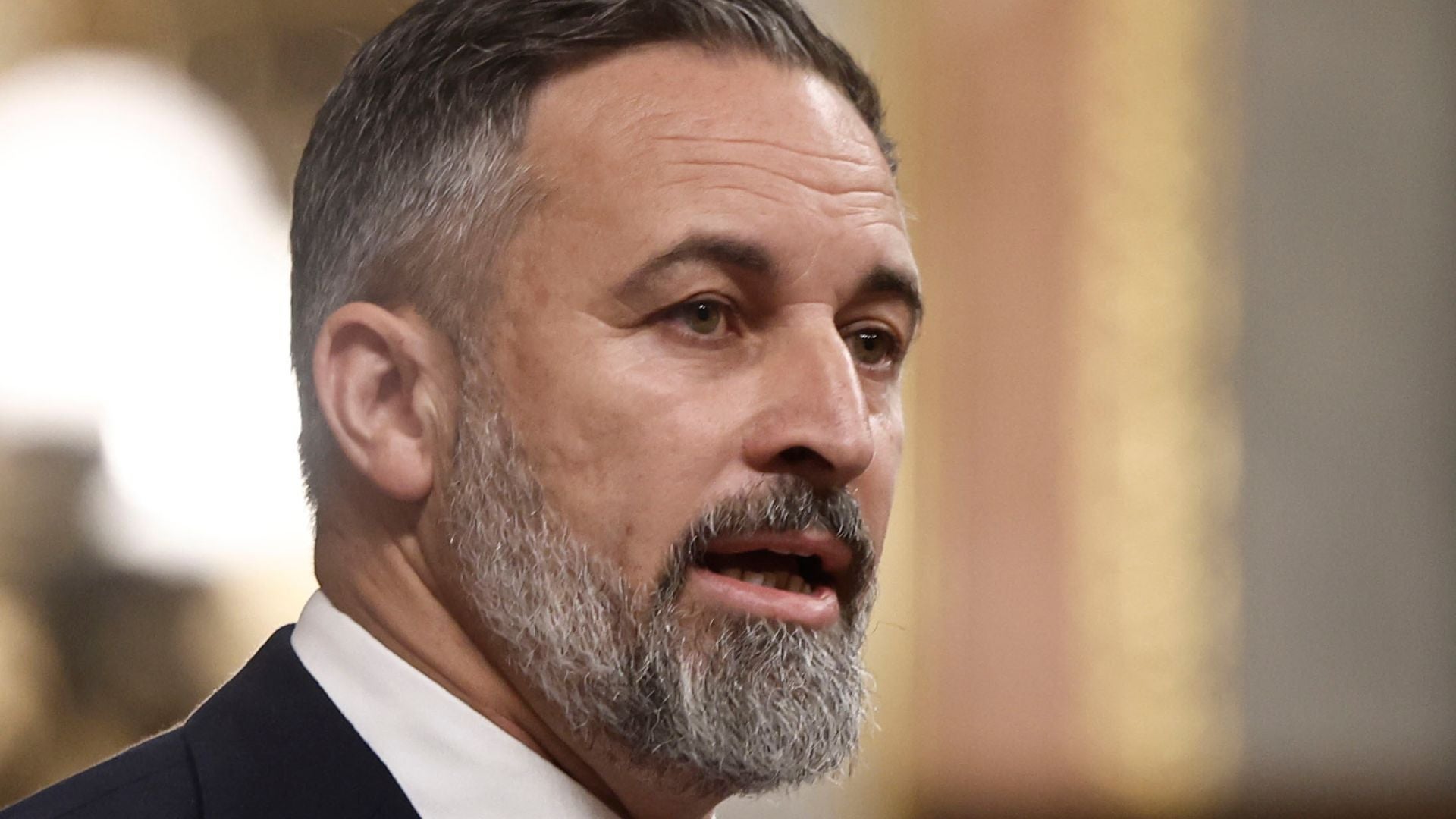 Santiago Abascal, presidente del Partido Español Vox - EFE