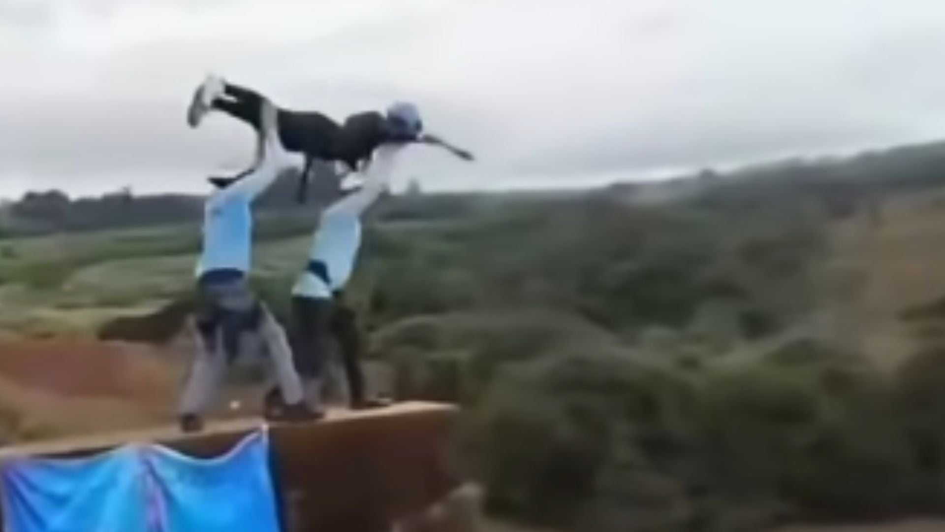 Joven practicando bungee lanzada sin medidas de seguridad - Foto: captura redes sociales