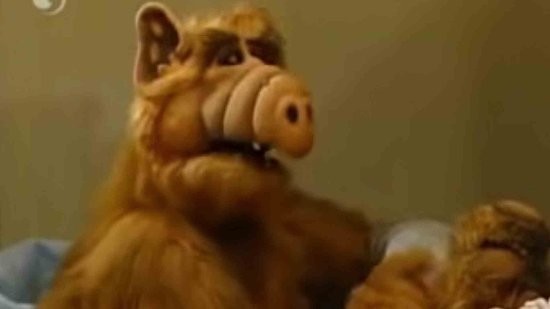 ALF - Captura de video