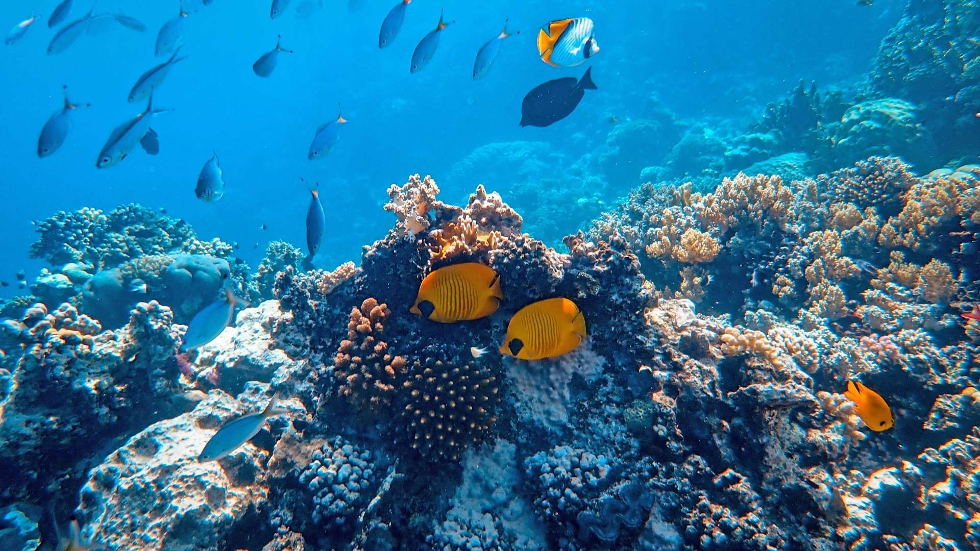 Oceano- Foto Canva