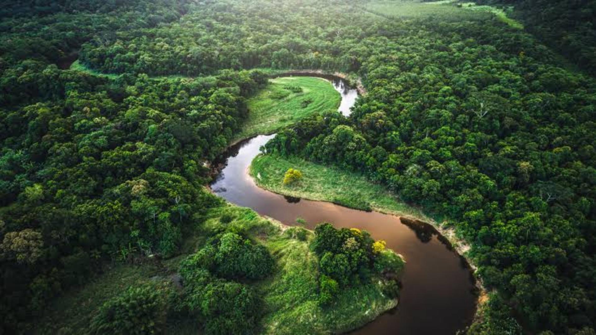 Reserva Biosfera Brasil- Foto UNESCO