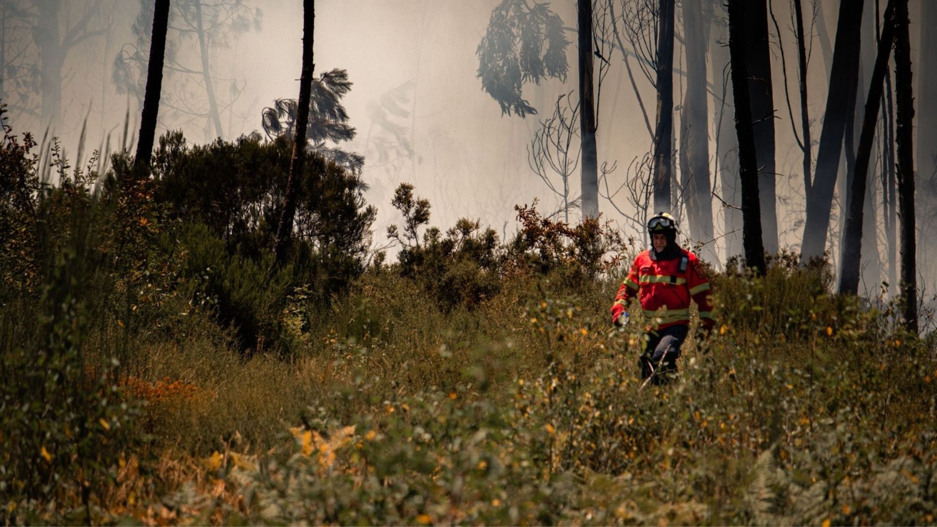 Foto: Fenómeno de El Niño en Colombia