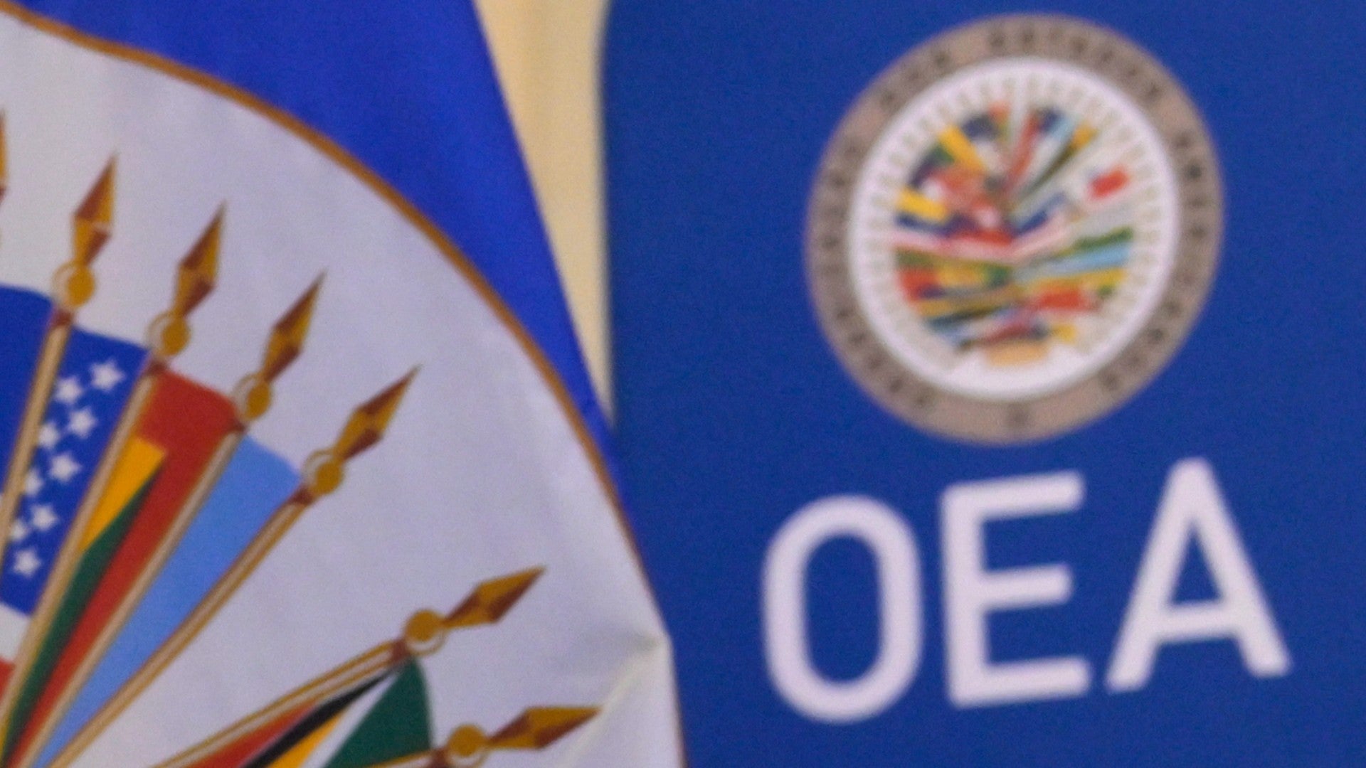 Banderas de la Organización de los Estados Americanos (OEA) - Foto de referencia: EFE