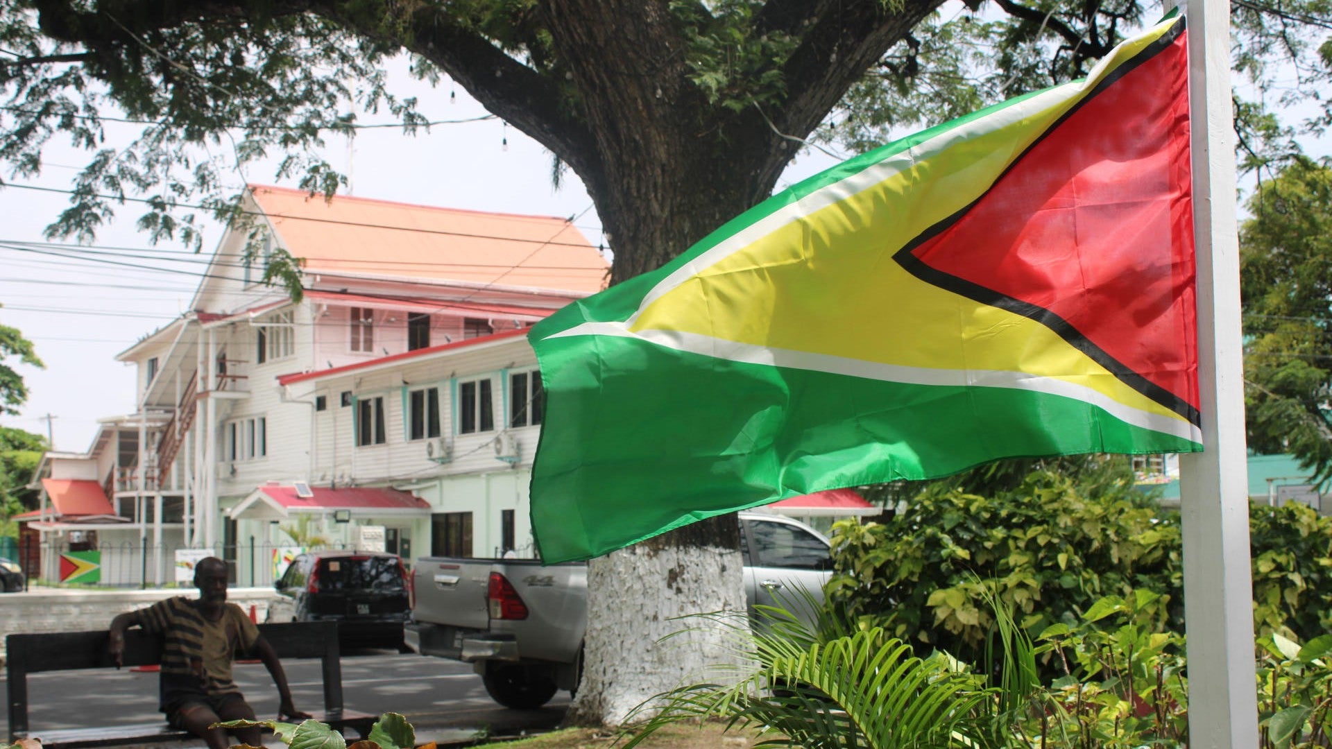 Bandera de Guyana (EFE)