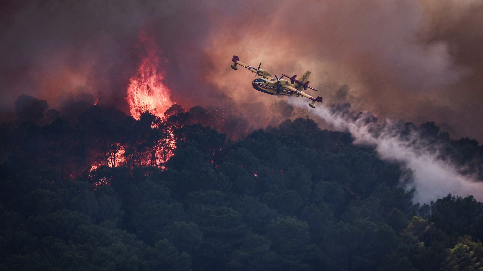 Incendios en Europa - AFP